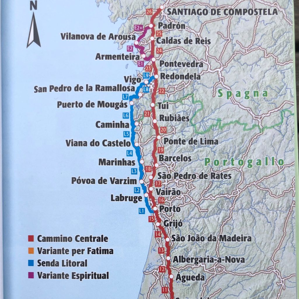 Cammino-di-santiago