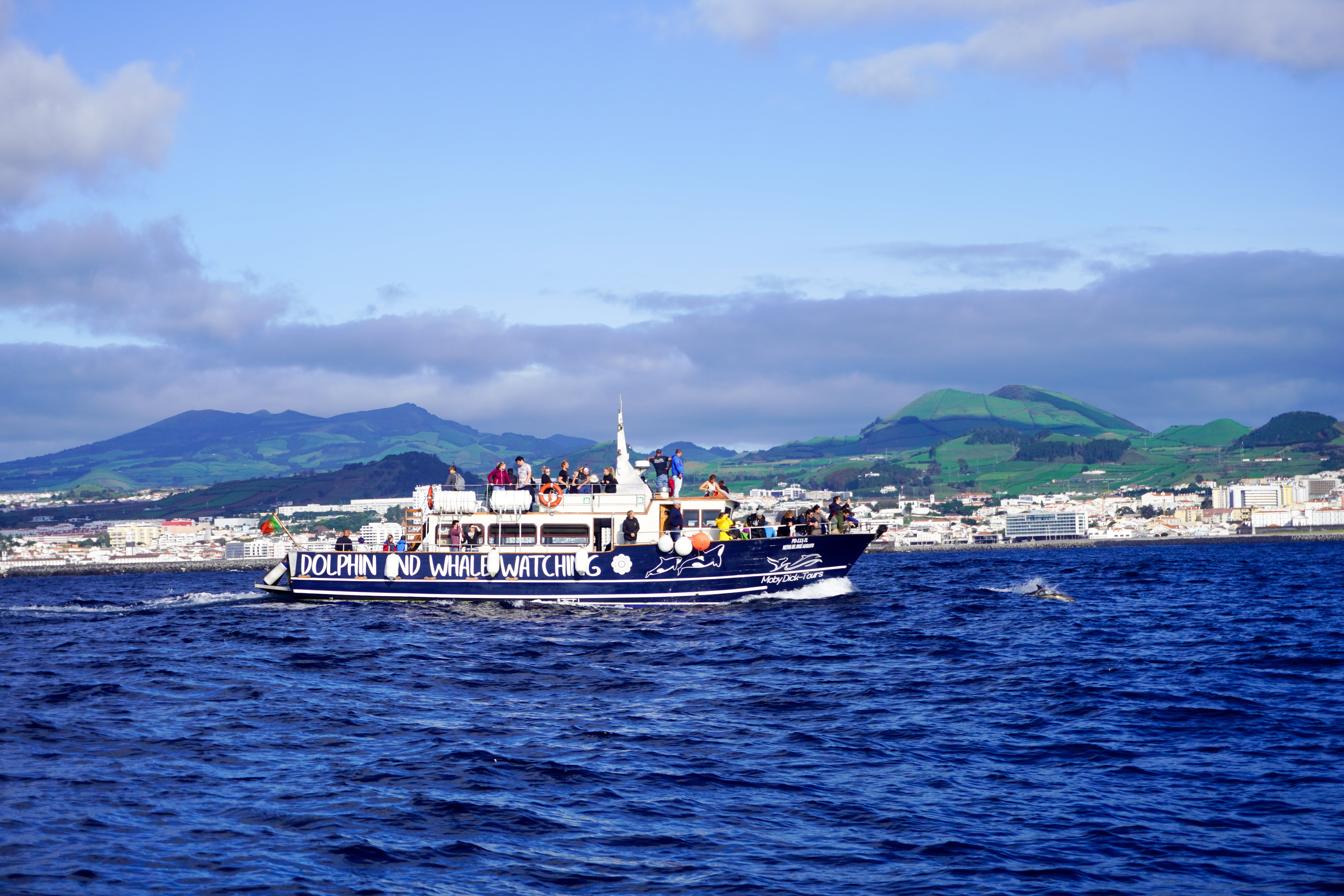 Whale Watching nelle Azzorre