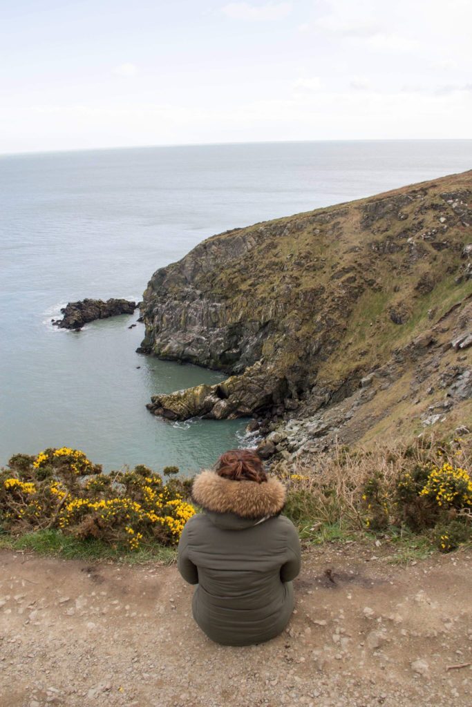 Howth-cliff